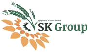 SK Group