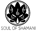 SOUL OF SHAMANI